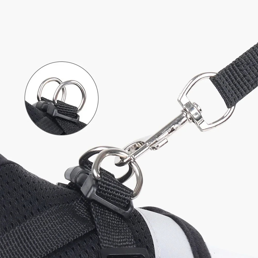 PawVest™ - Prevención de Fugas