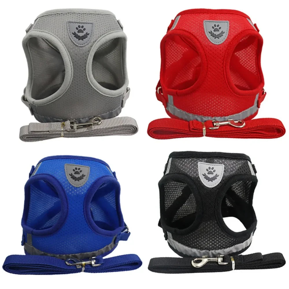 PawVest™ - Prevención de Fugas