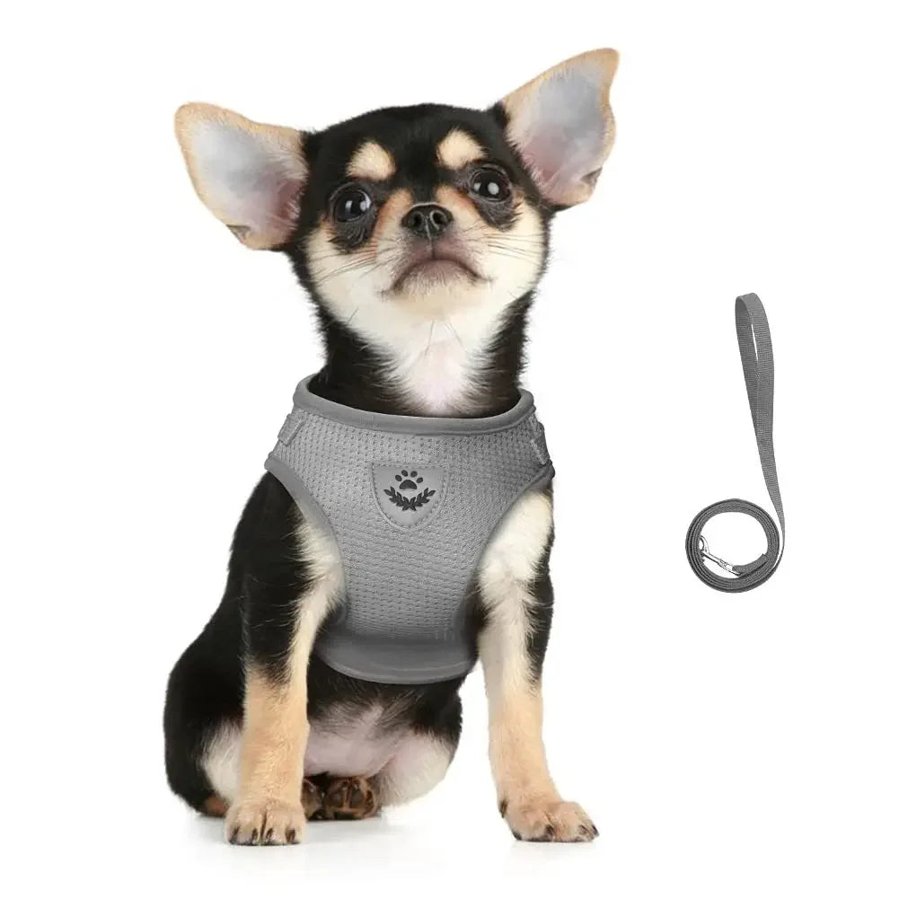 PawVest™ - Prevención de Fugas