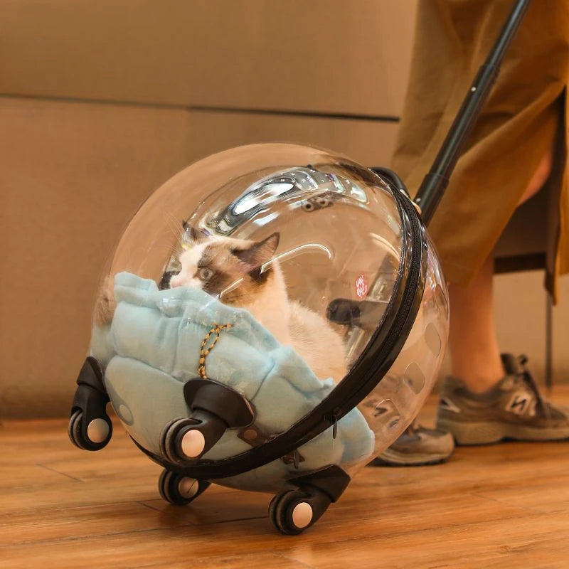 CatBag™ - Transportín Gatos