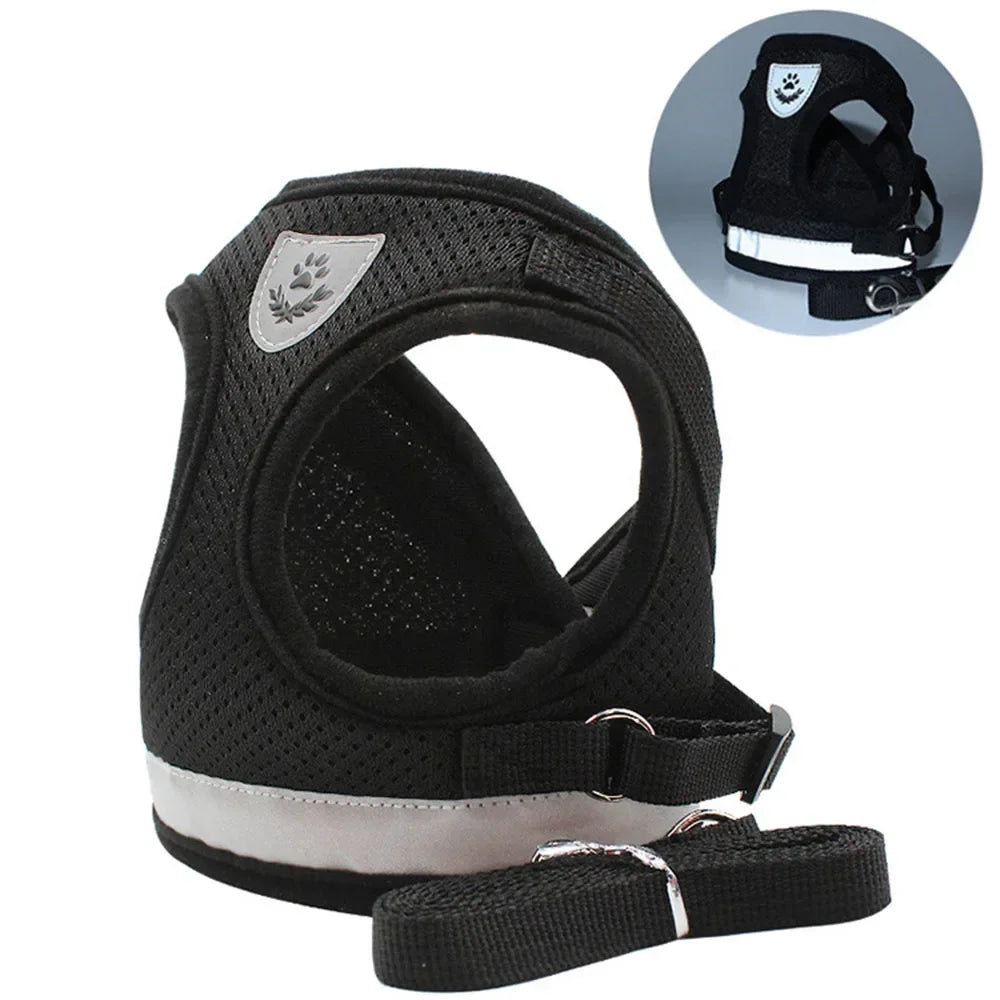 PawVest™ - Prevención de Fugas