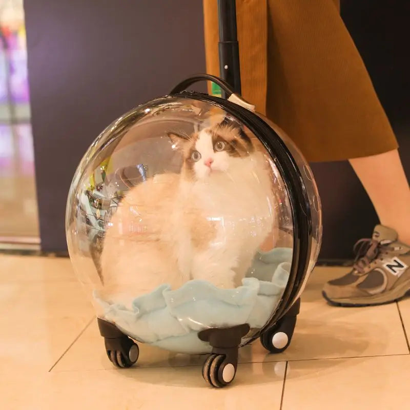 CatBag™ - Transportín Gatos