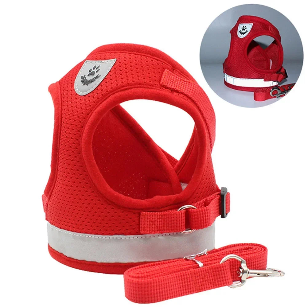 PawVest™ - Prevención de Fugas