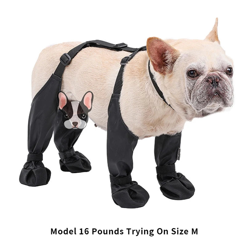 SafePaws™ – Botas Antideslizantes Impermeables