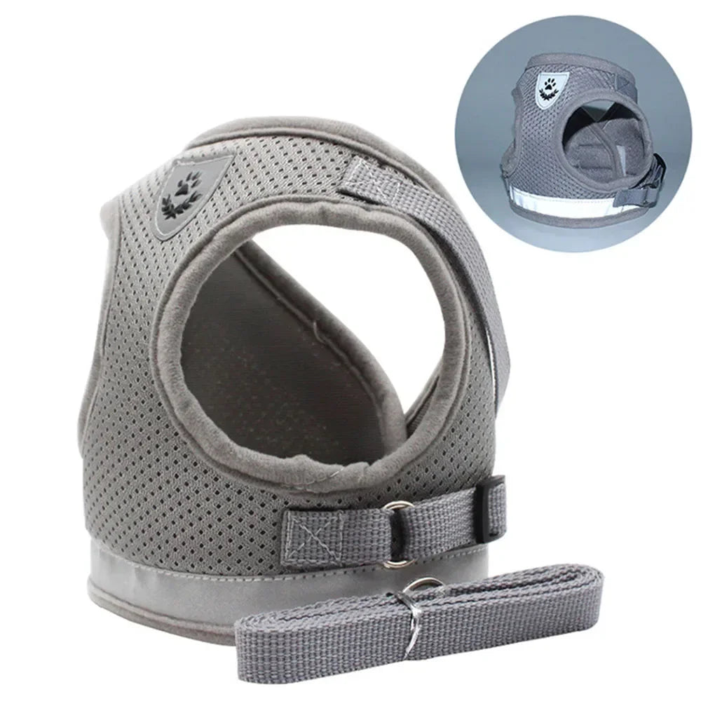 PawVest™ - Prevención de Fugas