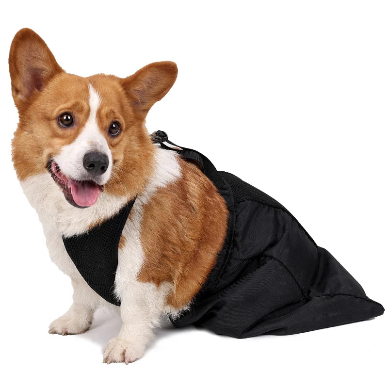 MoveCare™ – Arnés de Soporte y Transporte para Perros con Movilidad
