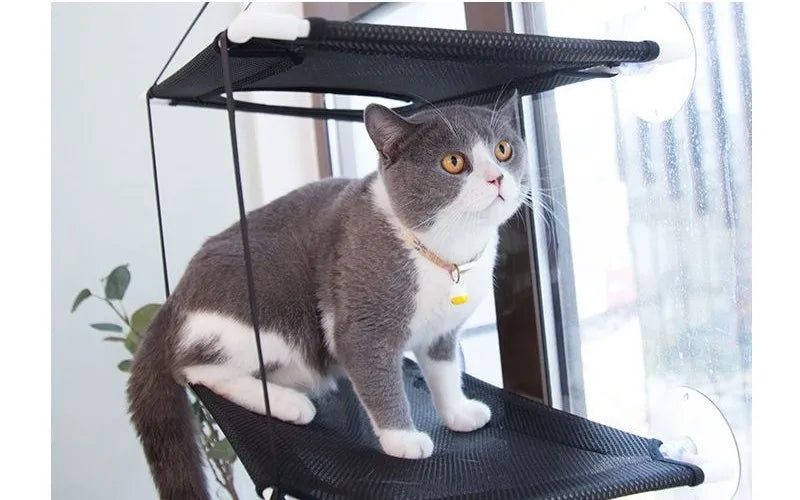 Cat Win'NET™ - Cama de Ventana
