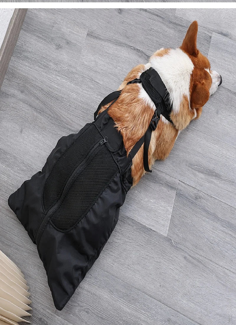 MoveCare™ – Arnés de Soporte y Transporte para Perros con Movilidad