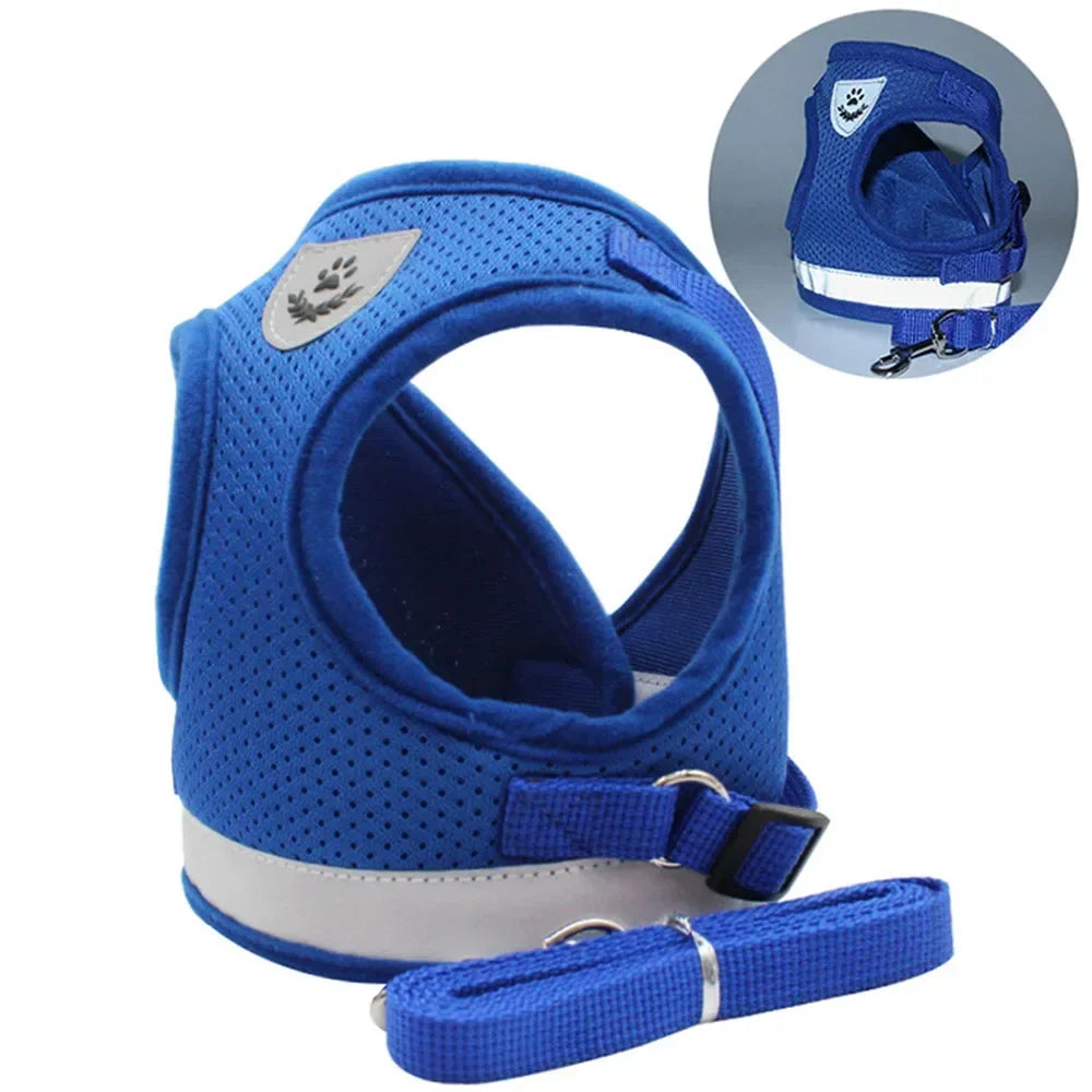PawVest™ - Prevención de Fugas