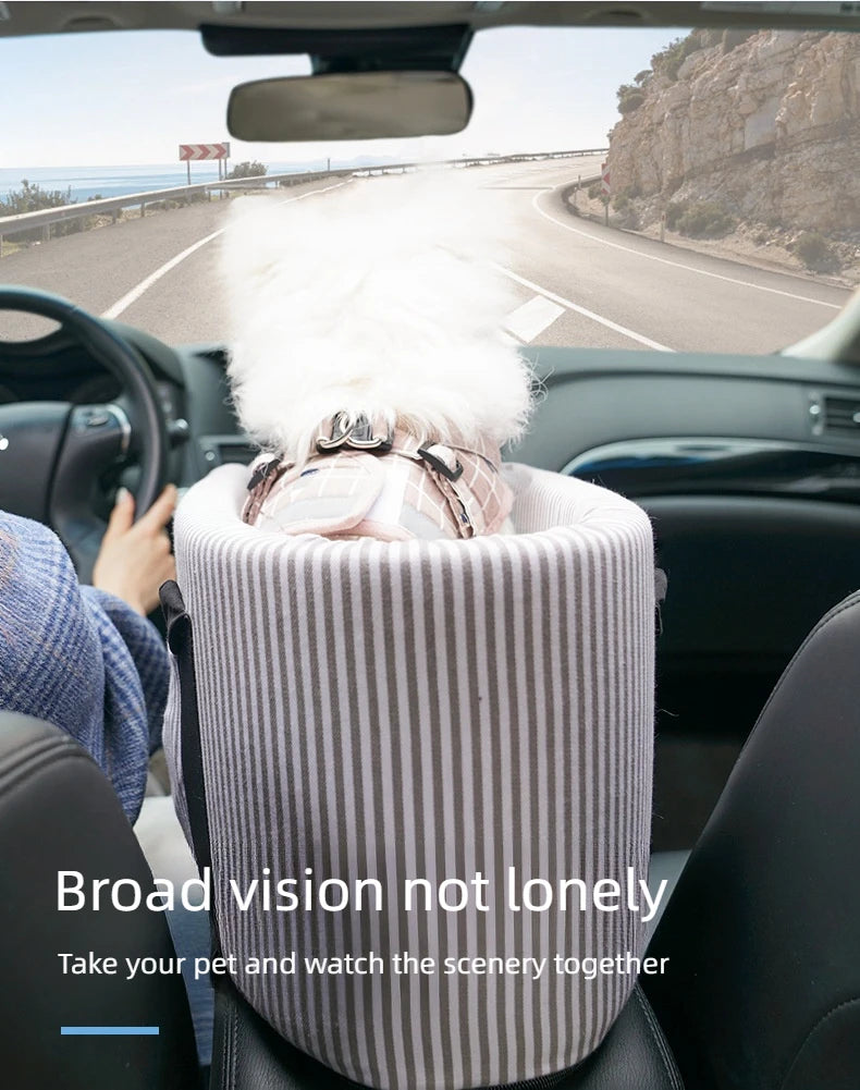 CatCar™ - Asiento de Seguridad