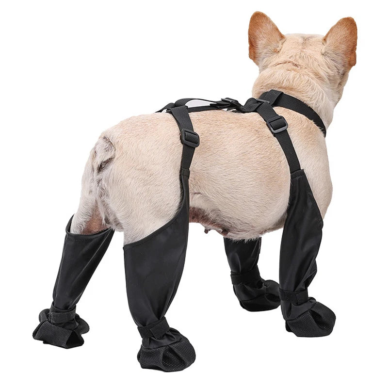 SafePaws™ – Botas Antideslizantes Impermeables