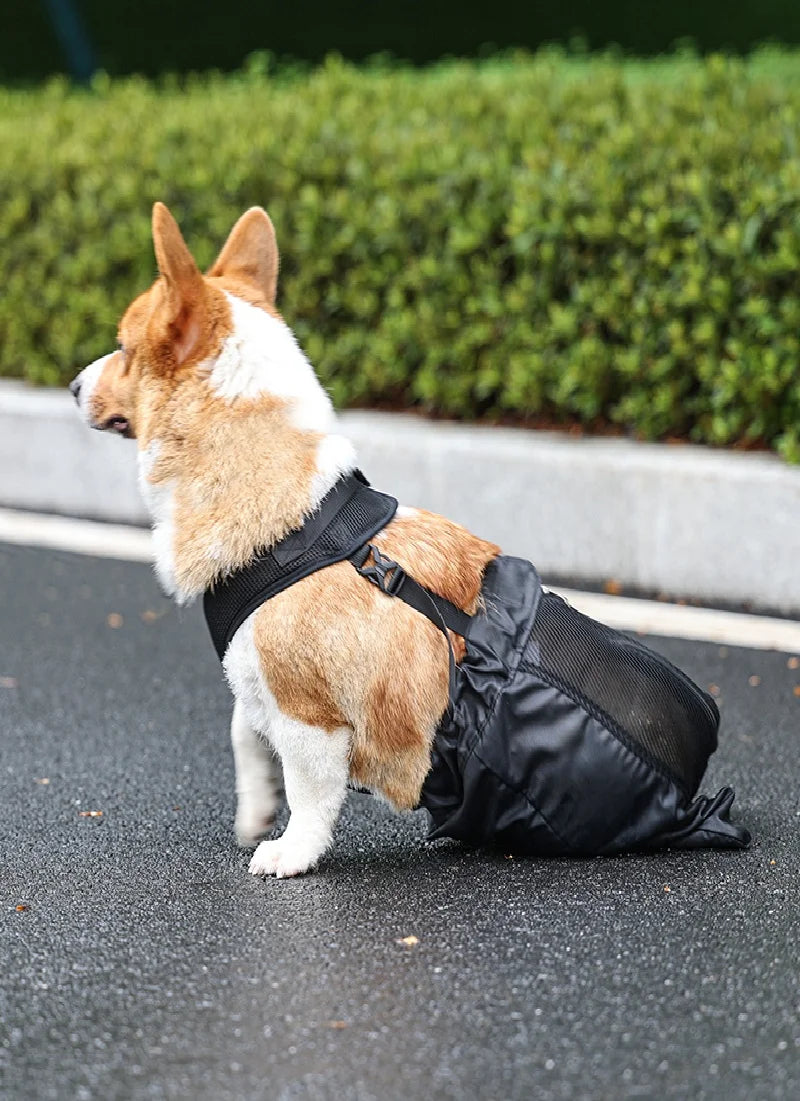 MoveCare™ – Arnés de Soporte y Transporte para Perros con Movilidad