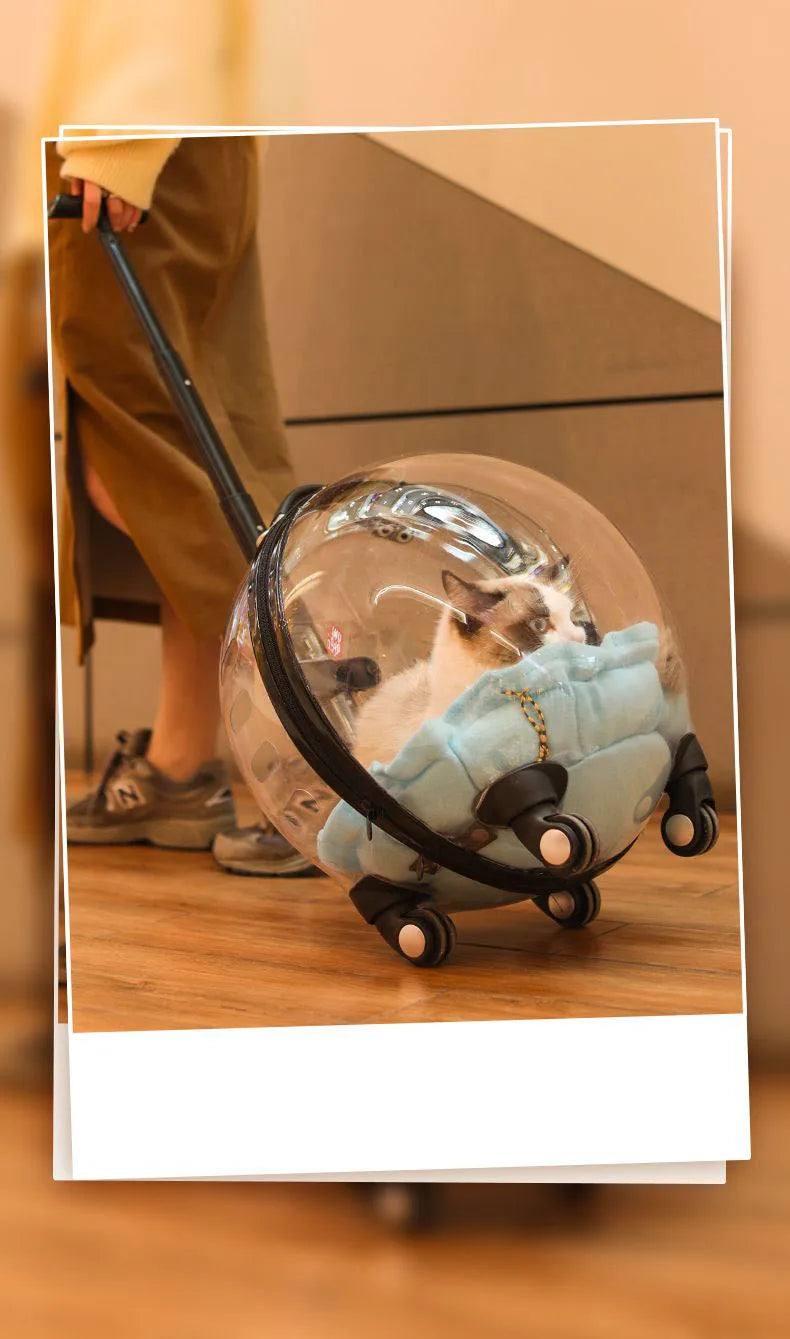 CatBag™ - Transportín Gatos
