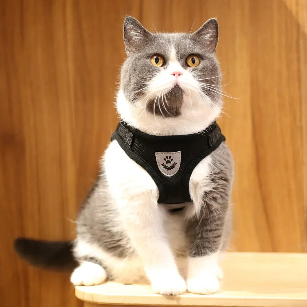 PawVest™ - Prevención de Fugas