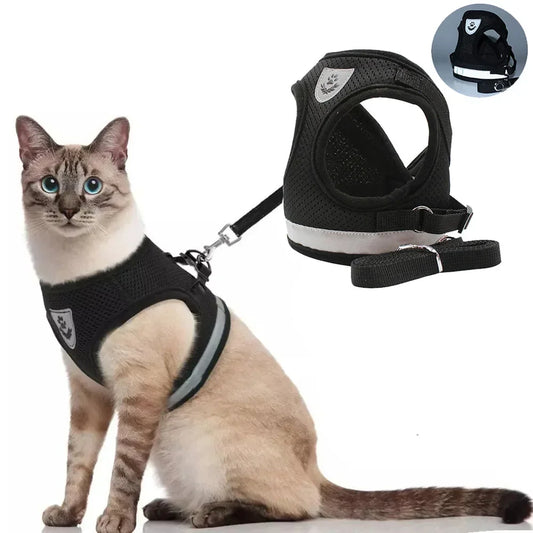 PawVest™ - Prevención de Fugas